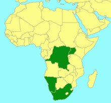 Gasteruption tropicale_map